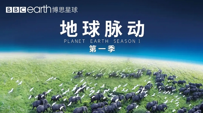 自然纪录片《地球脉动 第1季》全11集.2014.[TS][720P][央视中文]好看的纪录片下载-牵着蜗牛去散步
