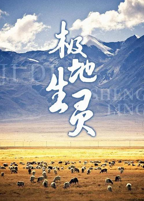 自然纪录片下载《极地生灵》2020.中国.自然[TS][1080i][央视中文][全1集]网盘下载-牵着蜗牛去散步